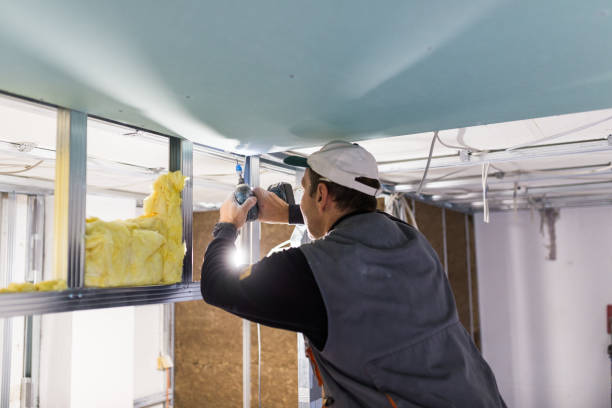 Best Soundproof Insulation  in Calera, OK