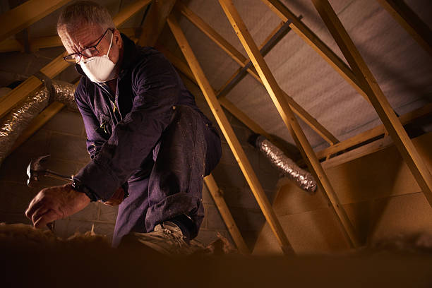 Best Attic Insulation Installation  in Calera, OK